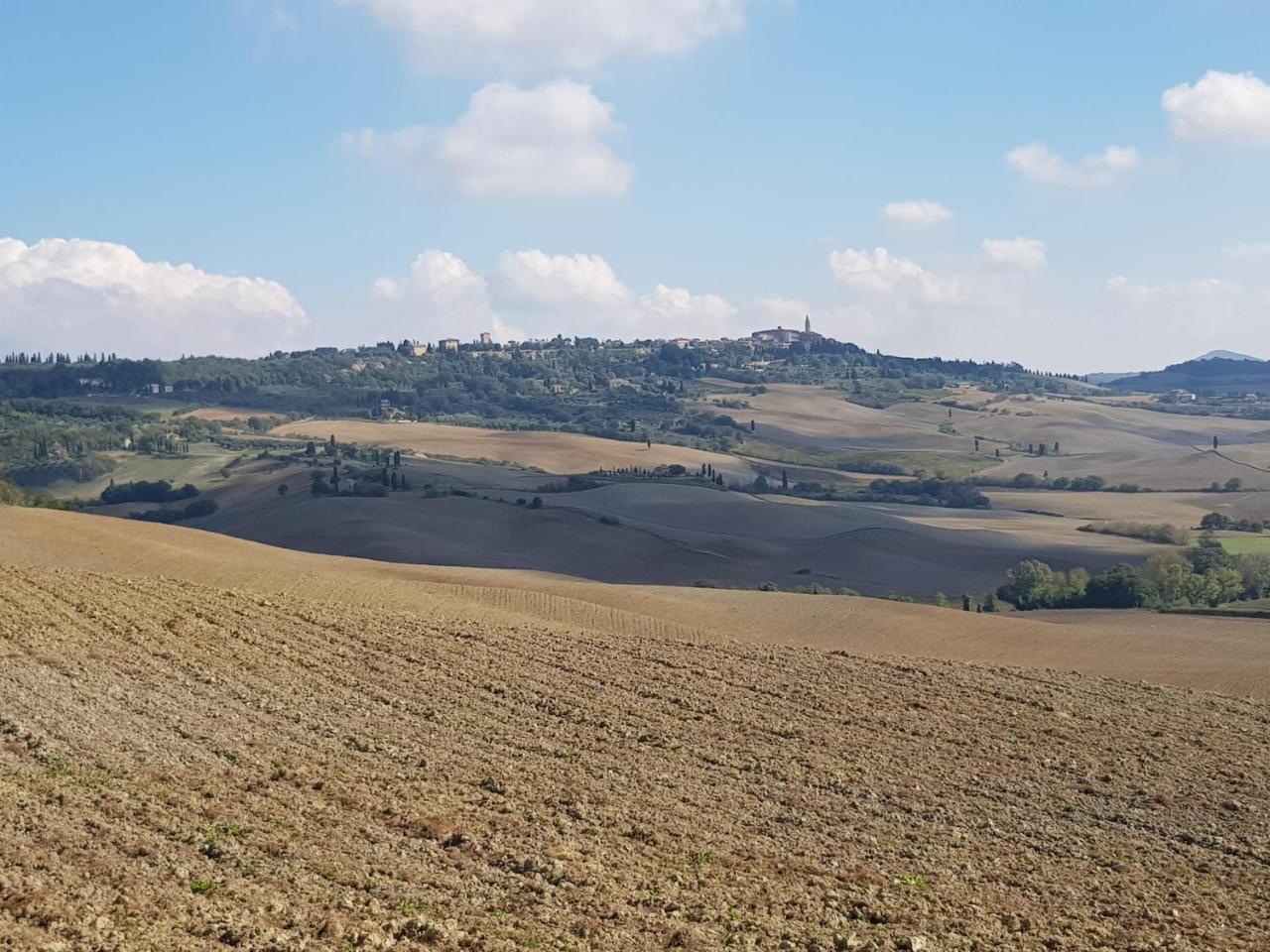 B&B Il Glicine Montefollonico Экстерьер фото