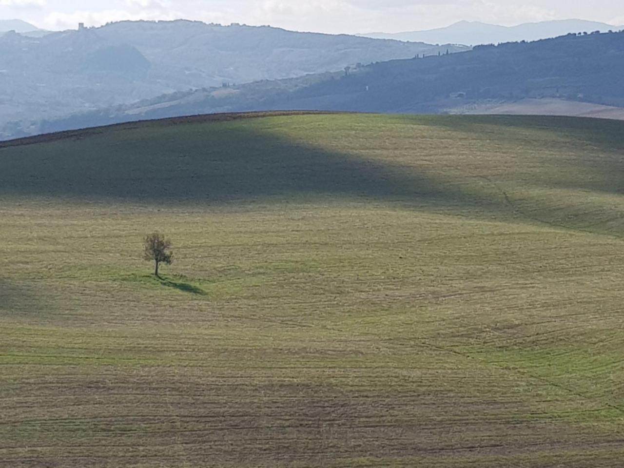 B&B Il Glicine Montefollonico Экстерьер фото