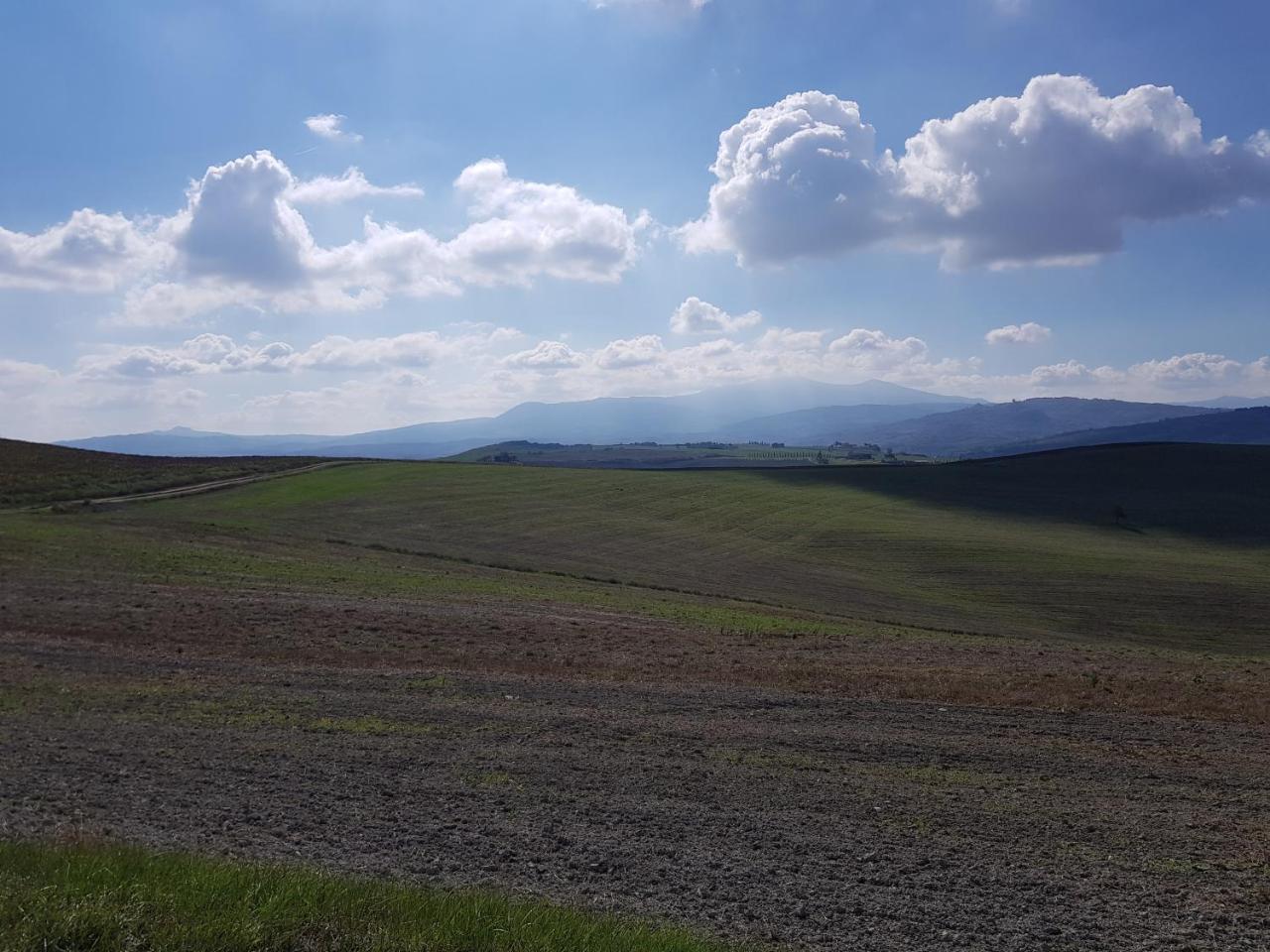 B&B Il Glicine Montefollonico Экстерьер фото