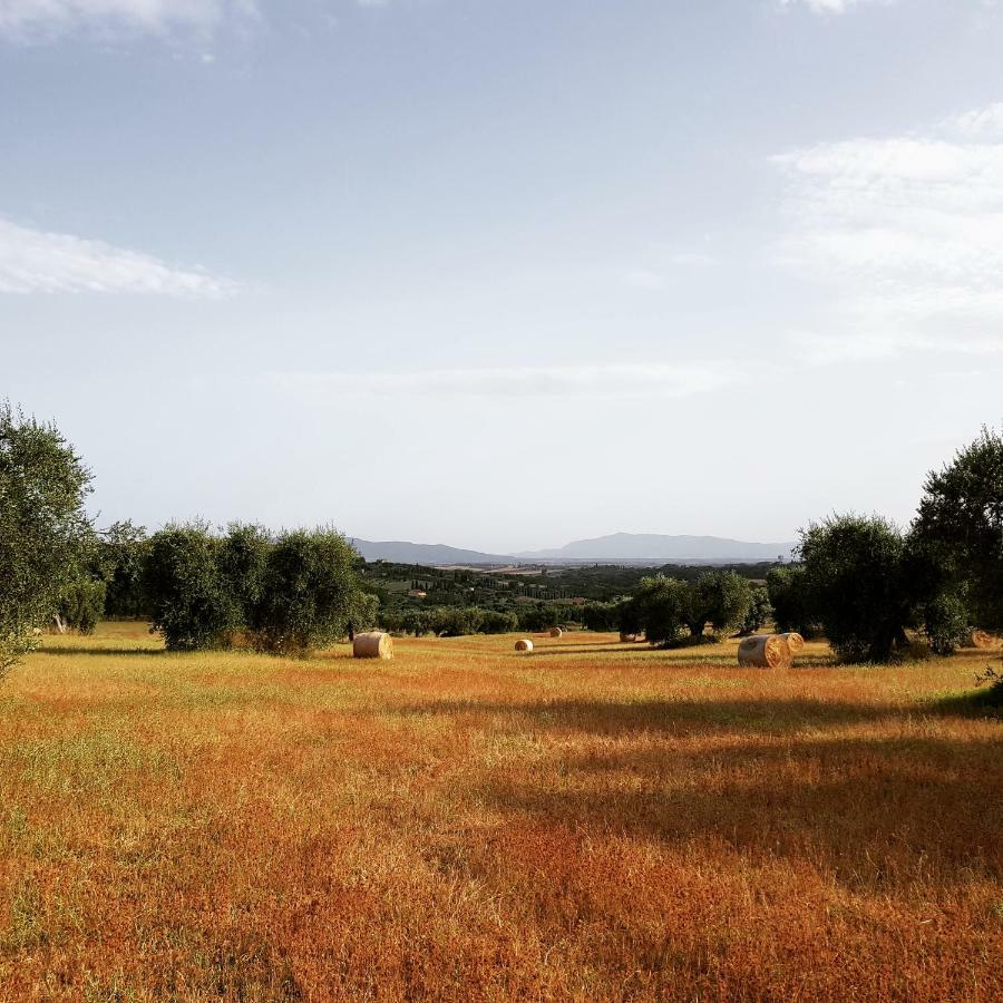 B&B Il Glicine Montefollonico Экстерьер фото